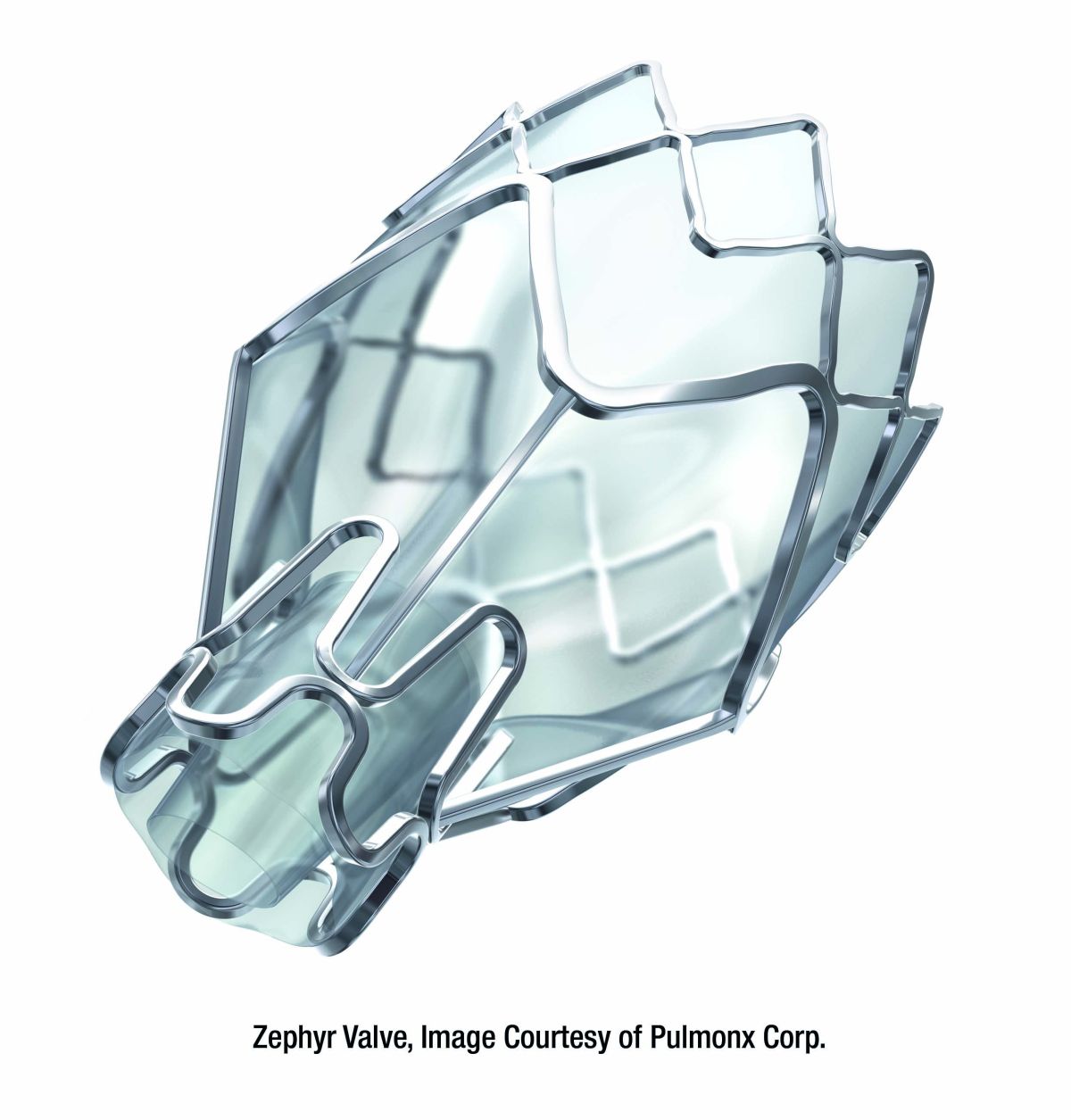 Zephyr Valve, image courtesy of Pulmonx Corp